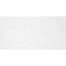Плитка облицовочная Моноколор / Monocolor (Alma Ceramica) 249х500х7мм, белый (1уп=12шт=1,494кв.м) (арт. TWU09MNR020)