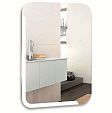Зеркало Алькон  (Silver Mirrors) 550х800мм, универсальное
